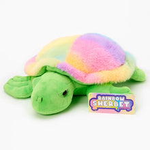 Load image into Gallery viewer, Rainbow Sherbet Turtle Plush Stuffed Animal
