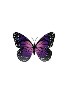 Glow-in-the-Dark Butterfly Magnets