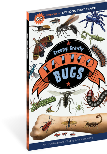 Hachatte Creepy Crawly Bug Tattoos book with Cobalt Blue Tarantula, Deathstalker Scorpion, Flesh Fly, Hickory Horned Devil, and the Two-Spotted Assassin Bug on the cover with child arm covered with three temporary tattoos.