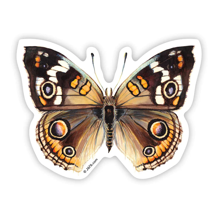 Buckeye Butterfly Vinyl Sticker