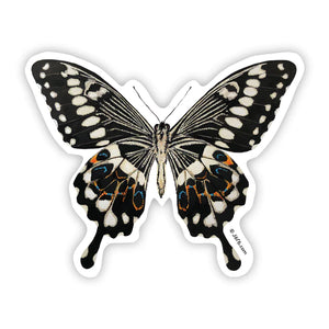 J6R6 US made 4" x 3.5" hand painted black with white spots and blue and orange accent Black Swallowtail Butterfly decorative water, weather, scratch, and UV resistant clean, dry and smooth surfaces adhesive die-cut durable vinyl sticker against white background.