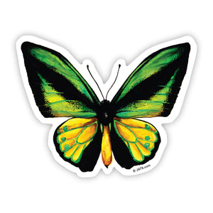 J6R6 US made 3" x 4" hand painted green, yellow, and black birdwing butterfly insect decorative water, weather, scratch, and UV resistant clean, dry and smooth surfaces adhesive die-cut durable vinyl sticker on white background.