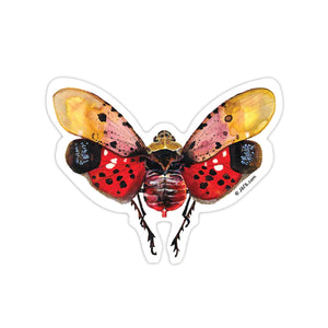 J6R6 US made 3.5" x 3" hand painted lantern fly insect decorative water, weather, scratch, and UV resistant clean, dry and smooth surfaces adhesive die-cut durable vinyl sticker.