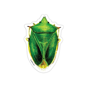 J6R6 US made 3.5" x 2.5" hand painted shield beetle insect decorative water, weather, scratch, and UV resistant clean, dry and smooth surfaces adhesive die-cut durable vinyl sticker.