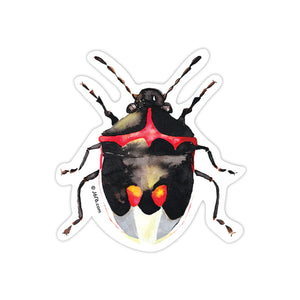 J6R6 US made 3.5" x 2.5" stink beetle Insect decorative water, weather, scratch, and UV resistant clean, dry and smooth surfaces adhesive die-cut durable vinyl sticker