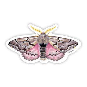 J6R6 US made 4.5" x 2.5" hand painted pink, brown, and yellow Pandora Moth decorative water, weather, scratch, and UV resistant clean, dry and smooth surfaces adhesive die-cut durable vinyl sticker against white background.