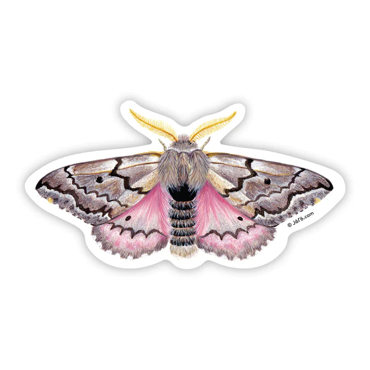 https://shop.butterflies.org/cdn/shop/products/J6R6-Sticker-Moth-8_720x_cba02265-c0c6-4a0a-a2e4-71b1e17216c7_720x.webp?v=1676917852