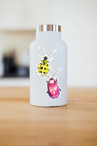 J6R6 US made 3.5" x 2.5" hand painted cucumber beetle insect decorative water, weather, scratch, and UV resistant clean, dry and smooth surfaces adhesive die-cut durable vinyl sticker on what bottle.
