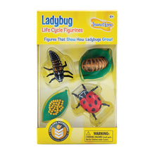Load image into Gallery viewer, Insect Lore Lifecycle of a Ladybug eggs, larva, pupa, and adult insect in yellow packaging on white background.
