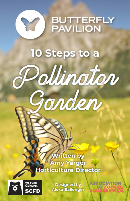 Cover of Butterfly Pavilion Amy Yarger Horticulture Director 10 Steps to a Pollinator Garden Digital Guidbook on how to design and care for a pollinator garden, and Colorado plants and pollinators.