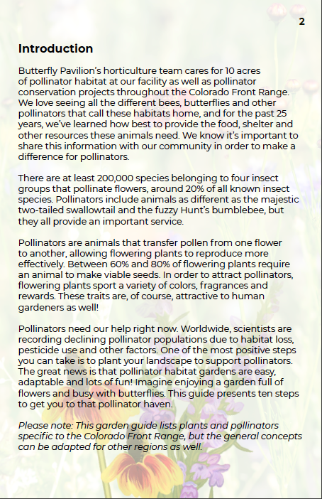 10 Steps to a Pollinator Garden Digital Guidebook – Butterfly Pavilion