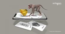 Load image into Gallery viewer, 4D+ Animal Alphabet Cards
