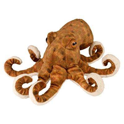 Cuddlekins Mini Octopus Stuffed Animal – Butterfly Pavilion