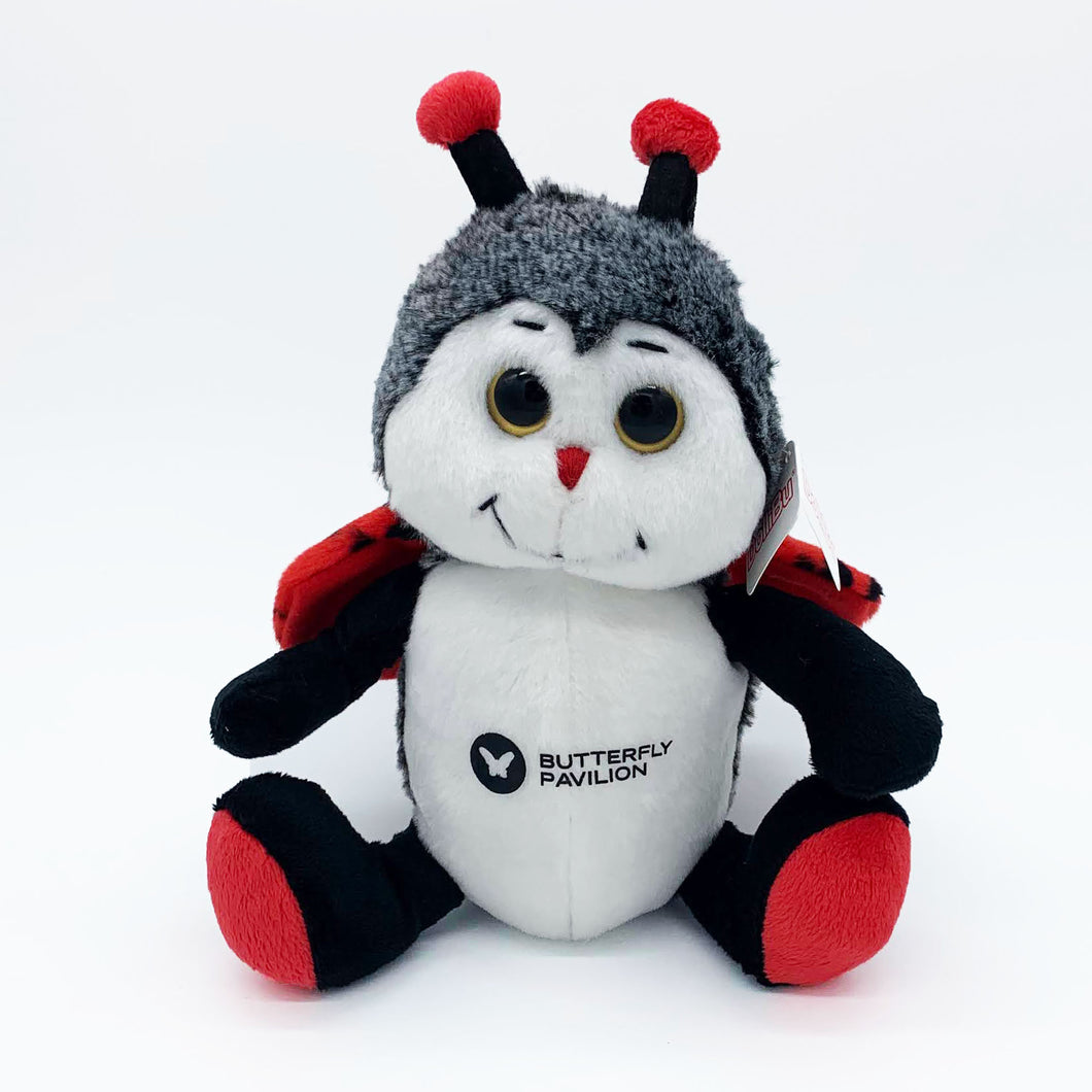 COTA Dollibu sitting ladybug stuffed animal plush toy.
