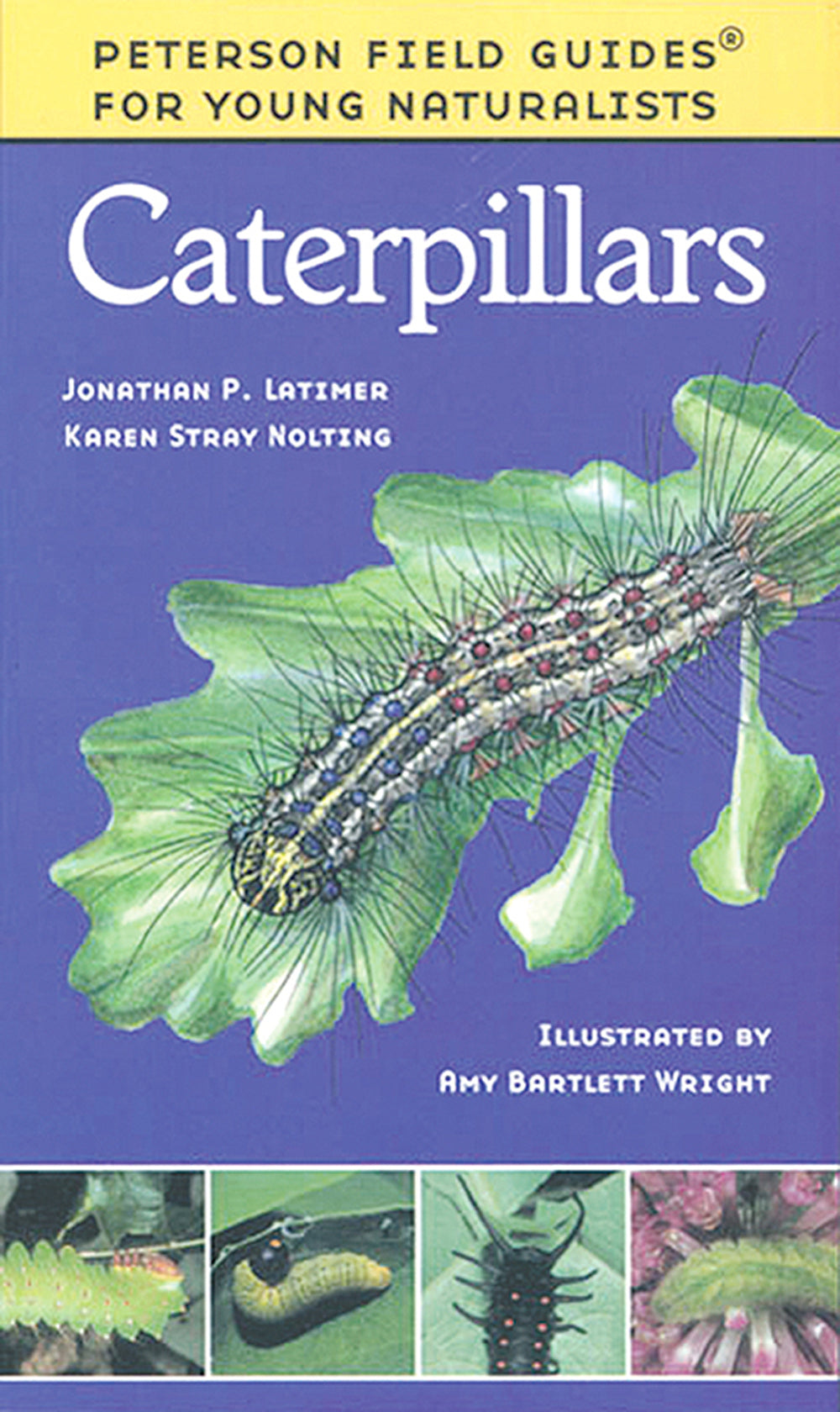 Peterson's Young Naturalists Field Guide: Caterpillars