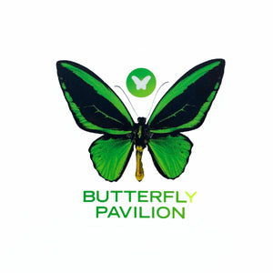 Rocky Mountain Sticker CO 3.5" x 3.5" all-weather vinyl butterfly pavilion birdwing butterfly bumper sticker.
