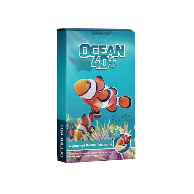 Ocean 4D+ Cards