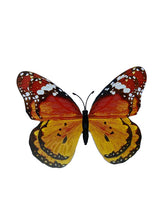 Load image into Gallery viewer, Glow-in-the-Dark Butterfly Magnets
