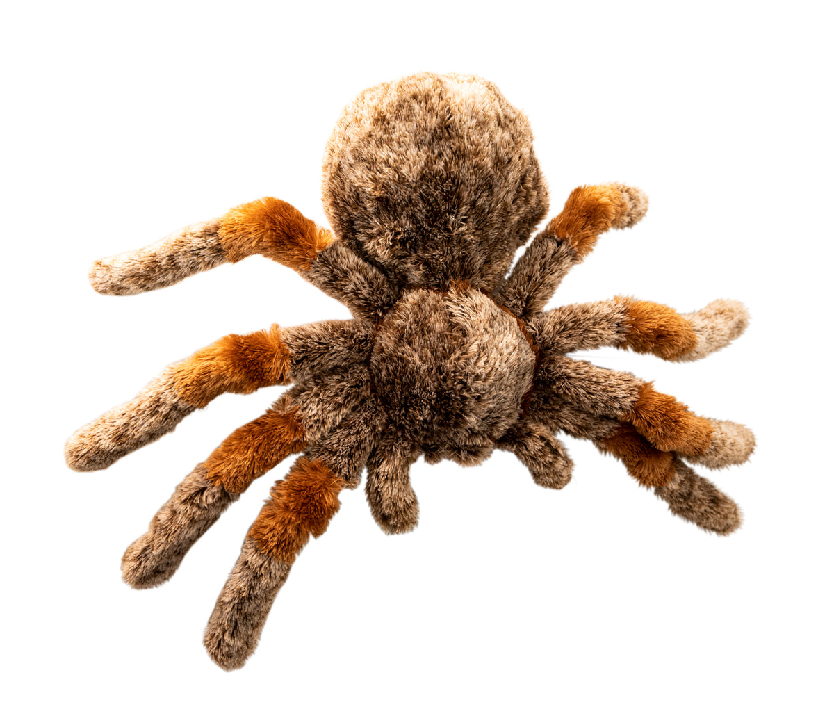 Wishpets rosie the chilean rose hair tarantula soft stuffed animal plush toy above view.